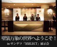 ���������������֥ץ�ߥ��ࡦ��������2012��XSELECT��