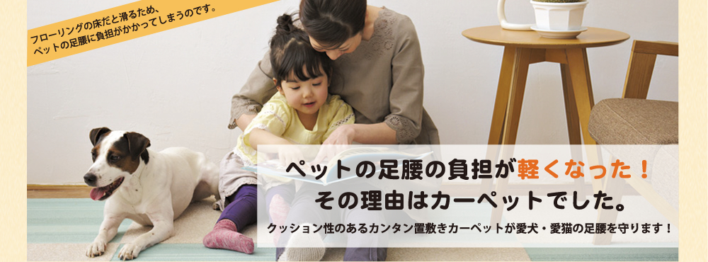 ペットの足腰の負担が軽くなった!その理由はカーペットでした。クッション性のあるカンタン置敷きカーペットが愛犬・愛猫の足腰を守ります! ペットの足腰の負担が軽くなった!その理由はカーペットでした。クッション性のあるカンタン置敷きカーペットが愛犬・愛猫の足腰を守ります!