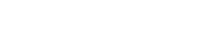 LIC CO.,LTD.